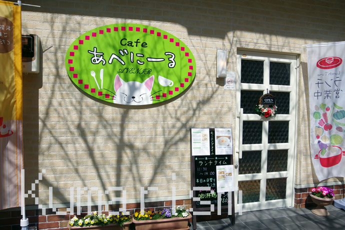 【閉業】[cafe あべにーる] 癒しの空間を提供してくれるやさしいカフェです♪